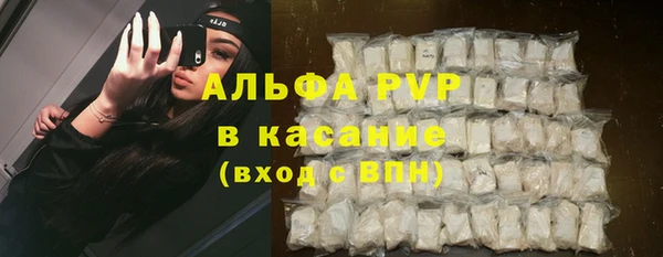 винт Аркадак