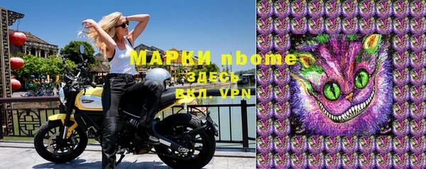 индика Приозерск