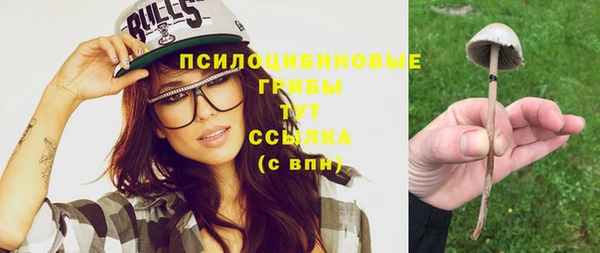 винт Аркадак
